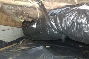 Air duct cleaning Service